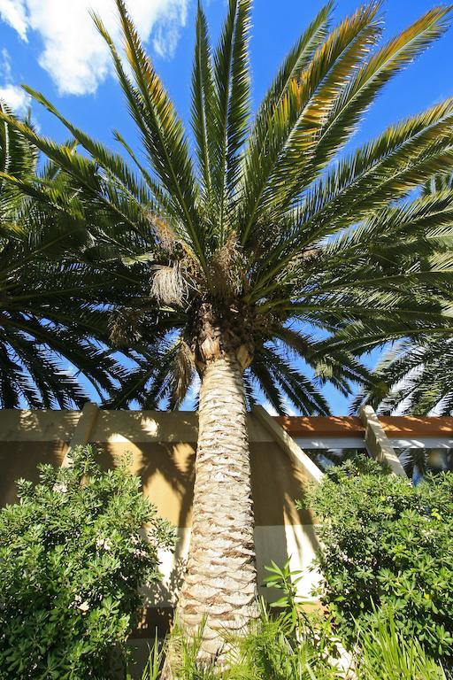Logis Nimotel Hotel Cosy Nîmes Exterior foto